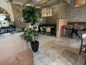 Home Renovate